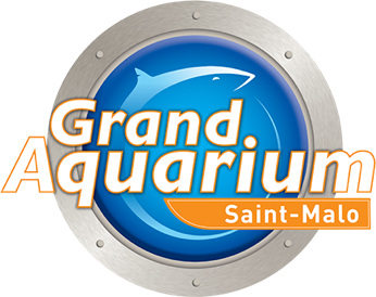 Grand Aquarium de St Malo